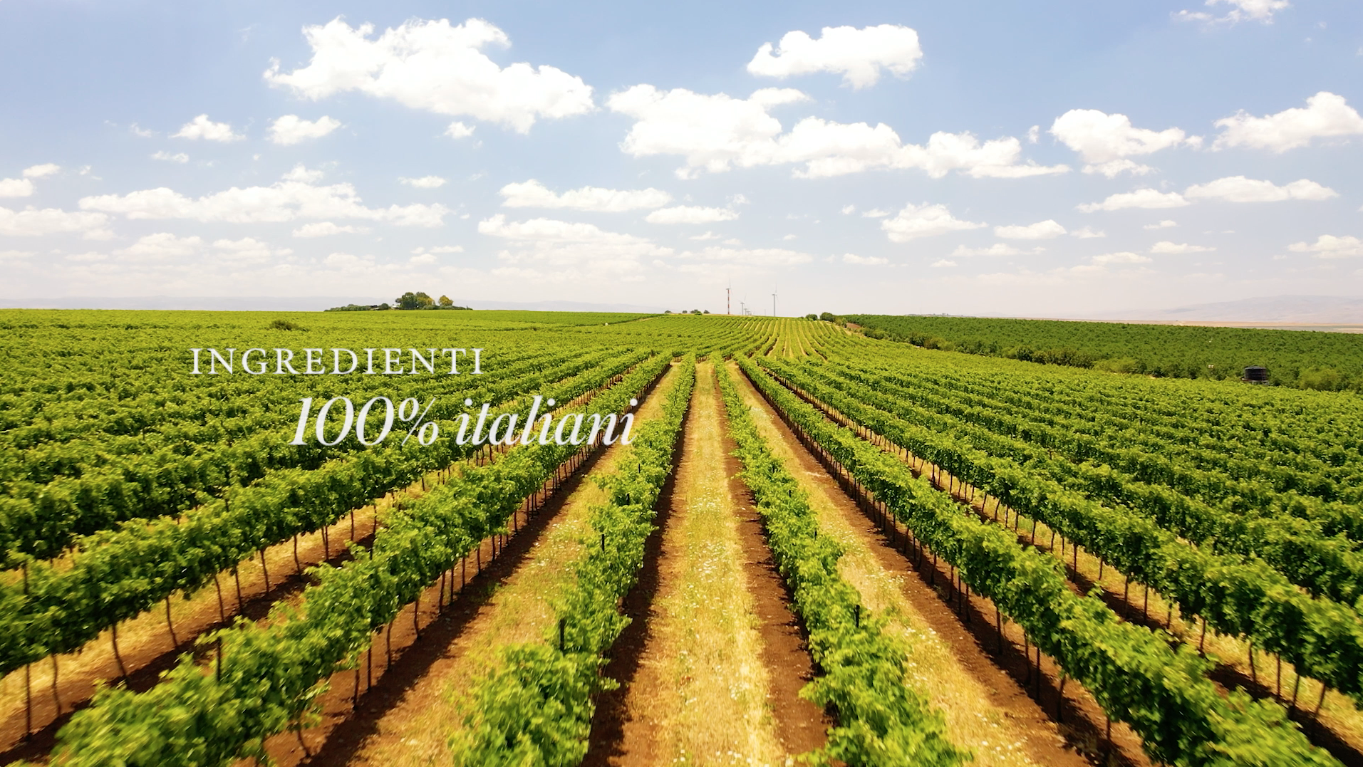 Lavorazione 100% Naturale