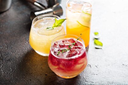 Apple Vinegar Spritzer (Base Recipe)_denigris_recipes